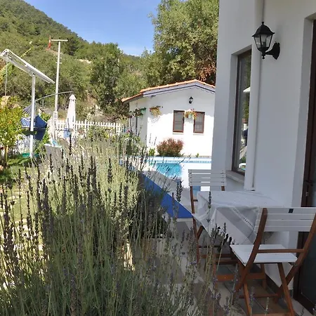 Hotel Masal