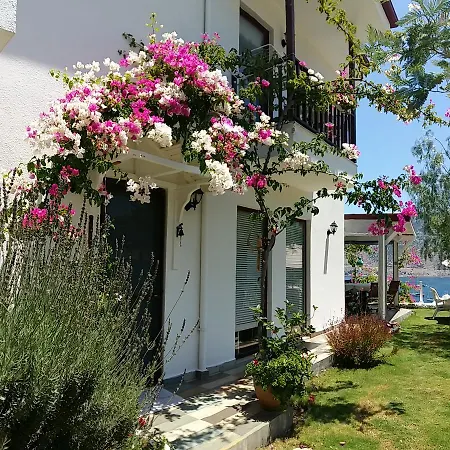 Masal Hotel