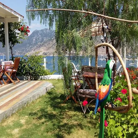 Hotel Masal 3*