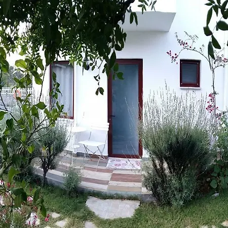 Masal
