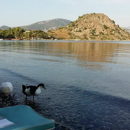 Masal Hotel 3*