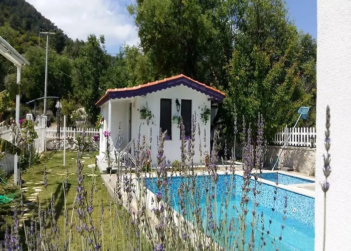 Masal Selimiye (Aegean)